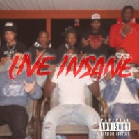 Live Insane (feat. Vitoo & Squeeze)_Mo Millions,Vitoo,Squeeze