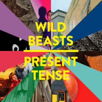 A Simple Beautiful Truth_Wild Beasts