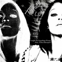 I Might Do Something Wrong_Tortured Soul,N'Dea Davenport