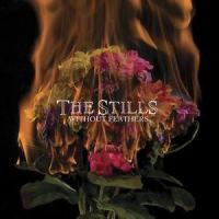 The House We Live In_The Stills