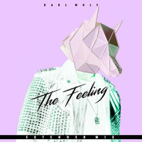 The Feeling_Karl Wolf
