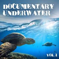 Diving Deeper_Peter Jeremias