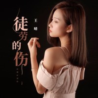 徒劳的伤_王晴