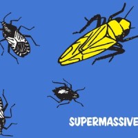 86'd_Supermassive