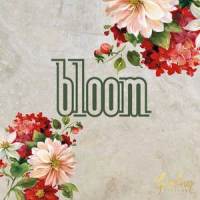 Bloom_Gardiner Sisters
