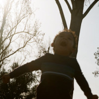 Phoebe_Ritt Momney