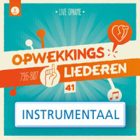 Good Good Father(804)(Instrumentaal)_Stichting Opwekking,Pat Barrett,Anthony Brown,Elisa Krijgsman,Stichting Opwekkingslectuur