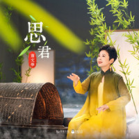 思君_董文华