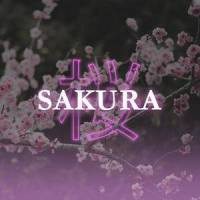 SAKURA_Jasper,Martin Arteta,11:11 Music Group