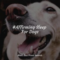 Fading Twilight_Music For Dogs Peace,Dog Music,Sleepy Dogs
