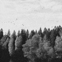 A Collapse Of Faith Part III_OCTOBER FALLS