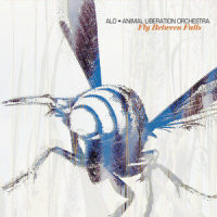 Girl, I Wanna Lay You Down_ALO (Animal Liberation Orchestra),Jack Johnson