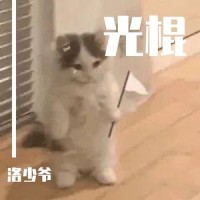 光棍_洛少爷