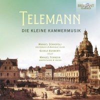 II. Allegro (Partita No. 2 in G Major, TWV 41:G2: II. Allegro)_Manuel Tomadin,Manuel Staropoli