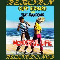 Theme for Young Lovers_A.B.S. Orchestra,Cliff Richard