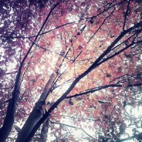 somewhere with lights_valico,Aviana