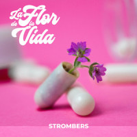 La Flor de la Vida_Strombers