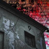 Nine_Petrichor Moon