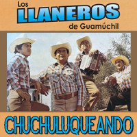Tiempos Amargos_Los Llaneros De Guamuchil,Dr Dr