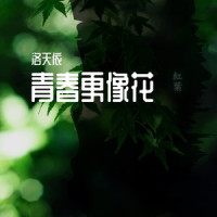 青春更像花_洛天依