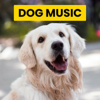 Bright Universe_Sleepy Dogs,Cat Music,Dog Music