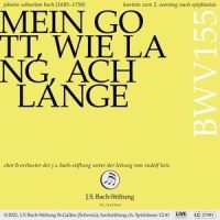 4. Arie (Sopran) - Wirf, mein Herze, wirf dich noch_Johann Sebastian Bach,Rudolf Lutz