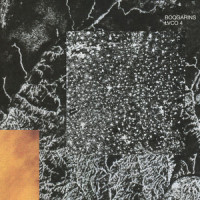 Lvco 4_Boogarins