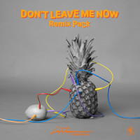 Don't Leave Me Now_Lost Frequencies,Mathieu Koss