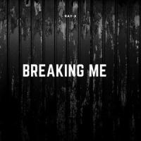 Breaking Me_Ray-X