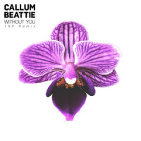 Without You_Callum Beattie