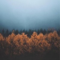 Sheltered_Tim Schaufert
