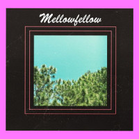 Alone_mellow fellow