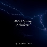 Earth_Bath Spa Relaxing Music Zone,Deep Relaxation Meditation Academy,Spa