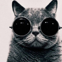 Hi Girl_MO.