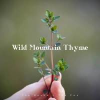 Wild Mountain Thyme_The Hound + The Fox
