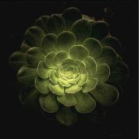 En el centro(feat. Ivo & Swit)_Lord Huum,Ivo,Swit