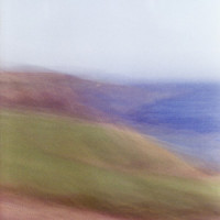 Surface Tension_Genevieve Stokes