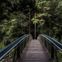 Dew Drops Outside_Pro Sounds of Nature,Namaste Yoga,Spa