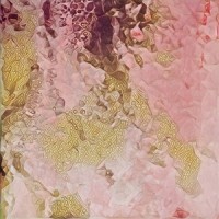Lucid_slenderbodies