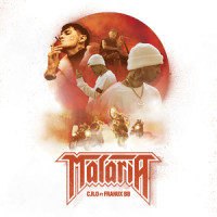 Malaria_C.R.O,Franux BB,Tomas Manuel Campos,Francisco Agustin Alvarez,Joel Alejandro Cisterna