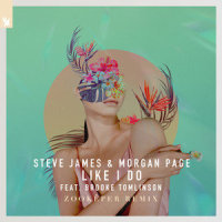 Like I Do_Steve James,Morgan Page,Brooke Tomlinson