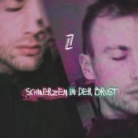 Schmerzen in der Brust_Lukas Litt