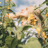 Messy_Holly Wild