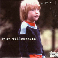 6.utan titel_Fint Tillsammans