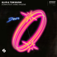 Down(feat. ANML KNGDM)_SLVR,Tom Budin,ANML KNGDM