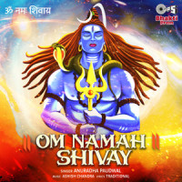 Om Namah Shivay_Anuradha Paudwal