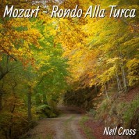 Mozart - rondo alla turca_Neil Cross