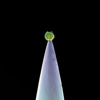 Signal To Noise_Peter Gabriel