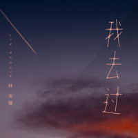 我去过_林宝馨
