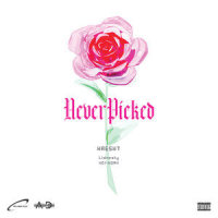 NEVER PICKED(feat. Lidnesty)_Kresnt,NO1-NOAH